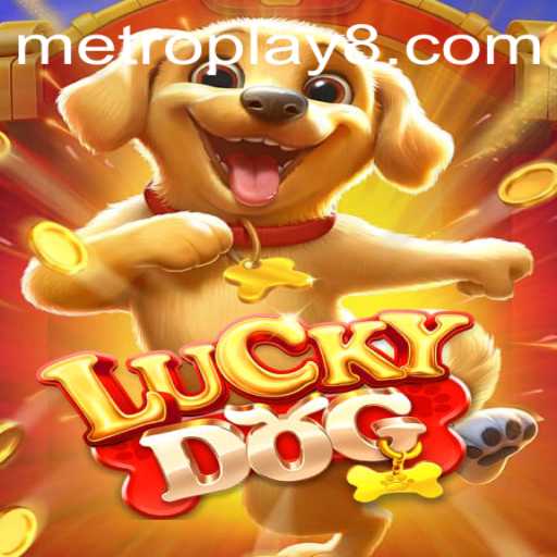 Discovering the World of LuckyDog: A Metro Play Experience